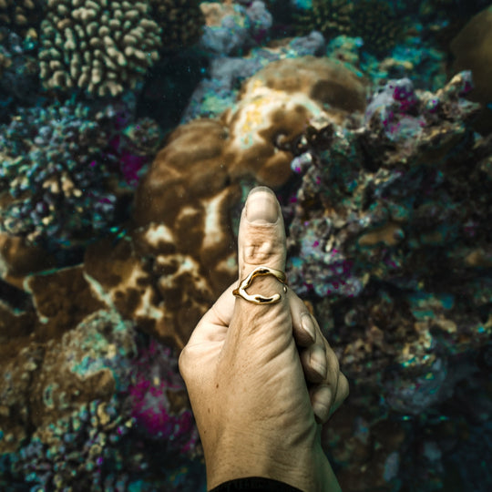 "GREAT BARRIER REEF" RING