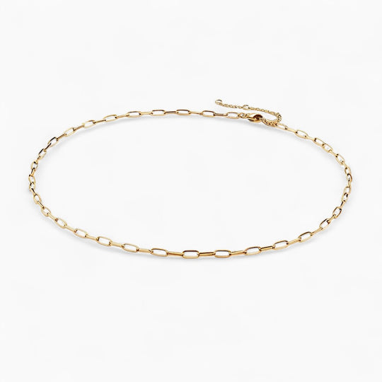 "TASMANIA" SMALL LINK NECKLACE